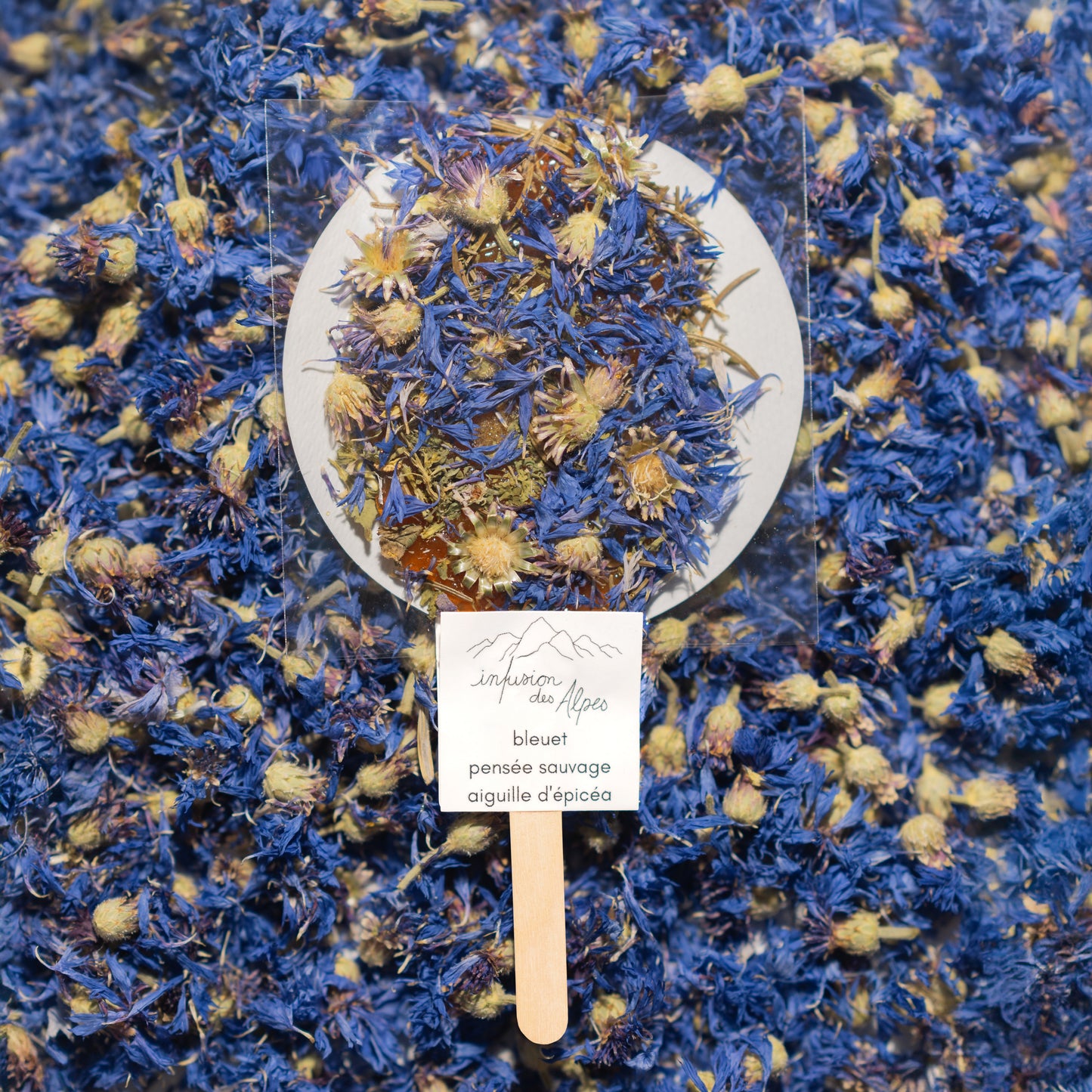 Bleuet, aiguilles d’épicéa et pensée sauvage