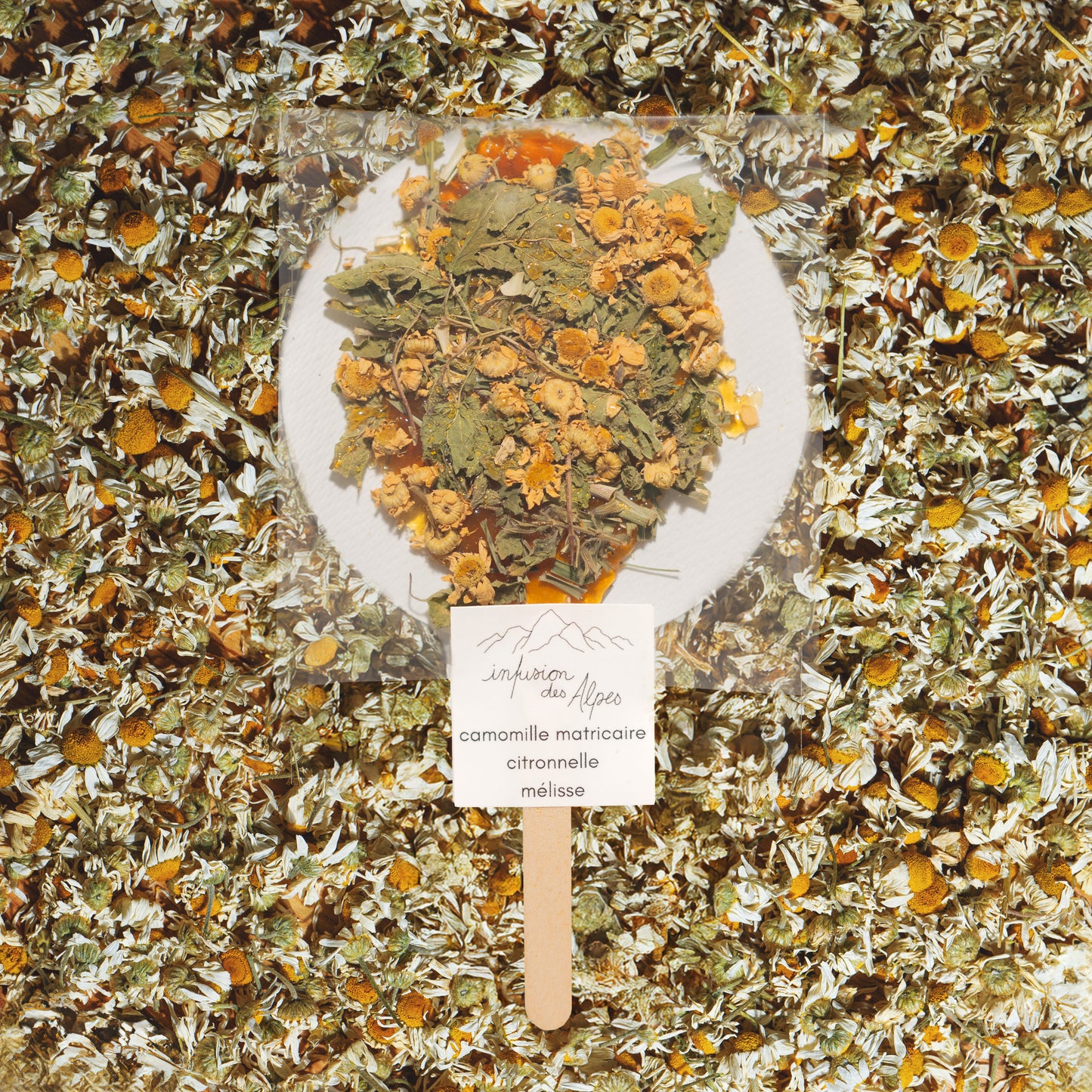 Mélisse, citronnelle & camomille matricaire