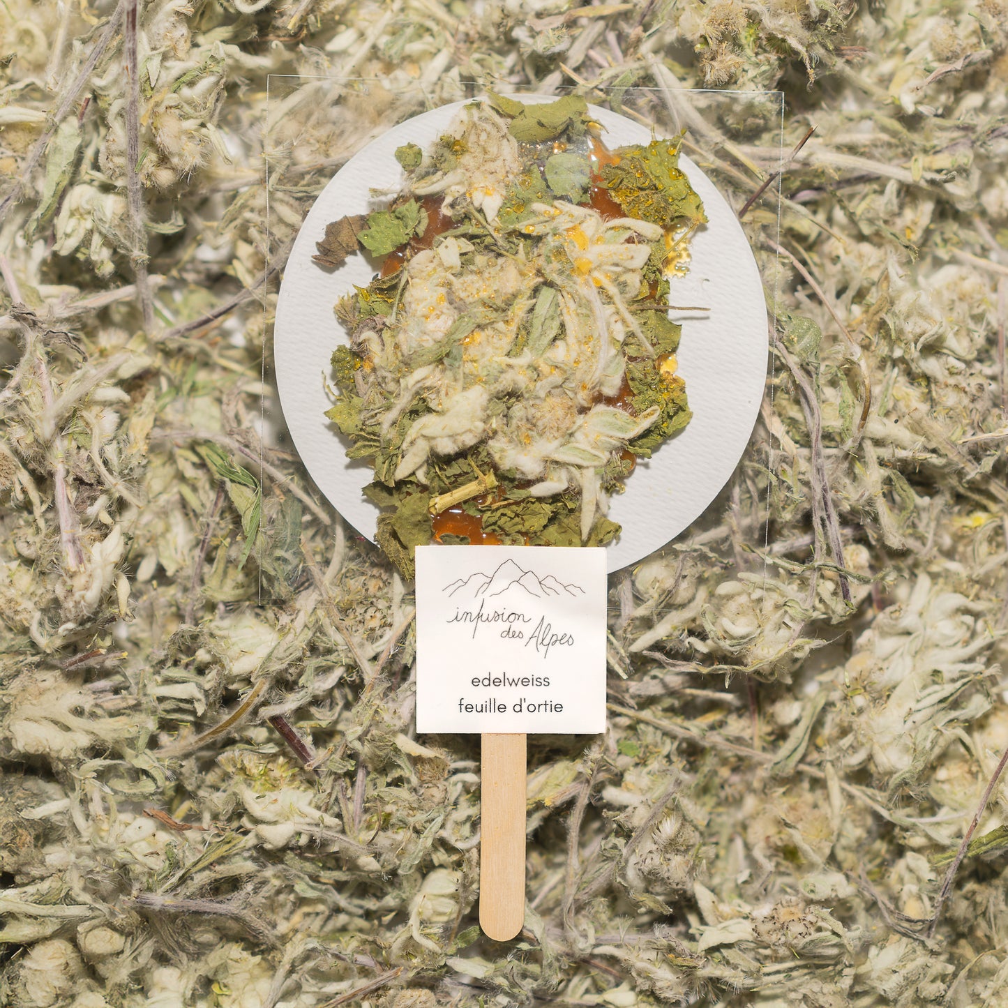 Edelweiss, feuille d’ortie