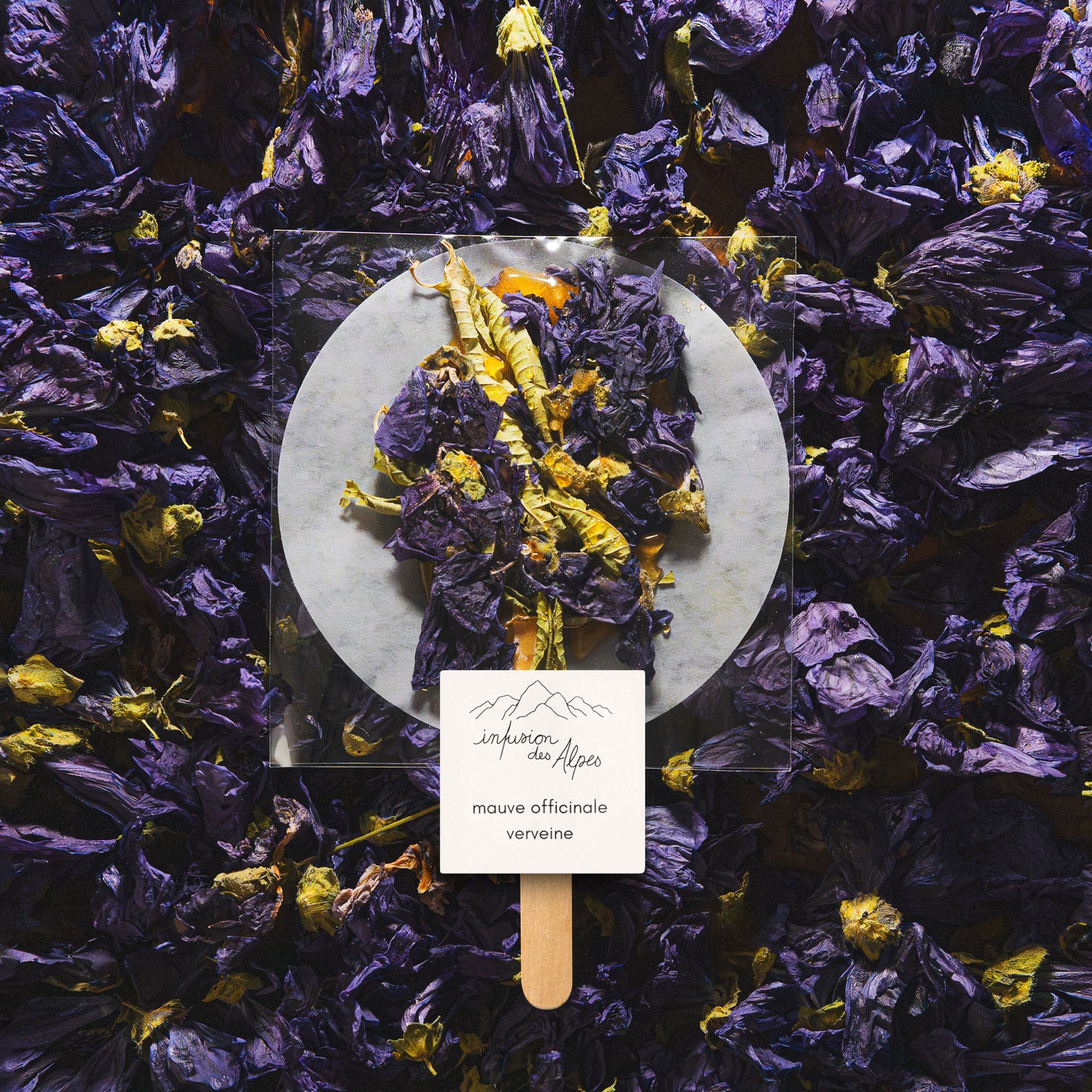 Mauve officinale et verveine