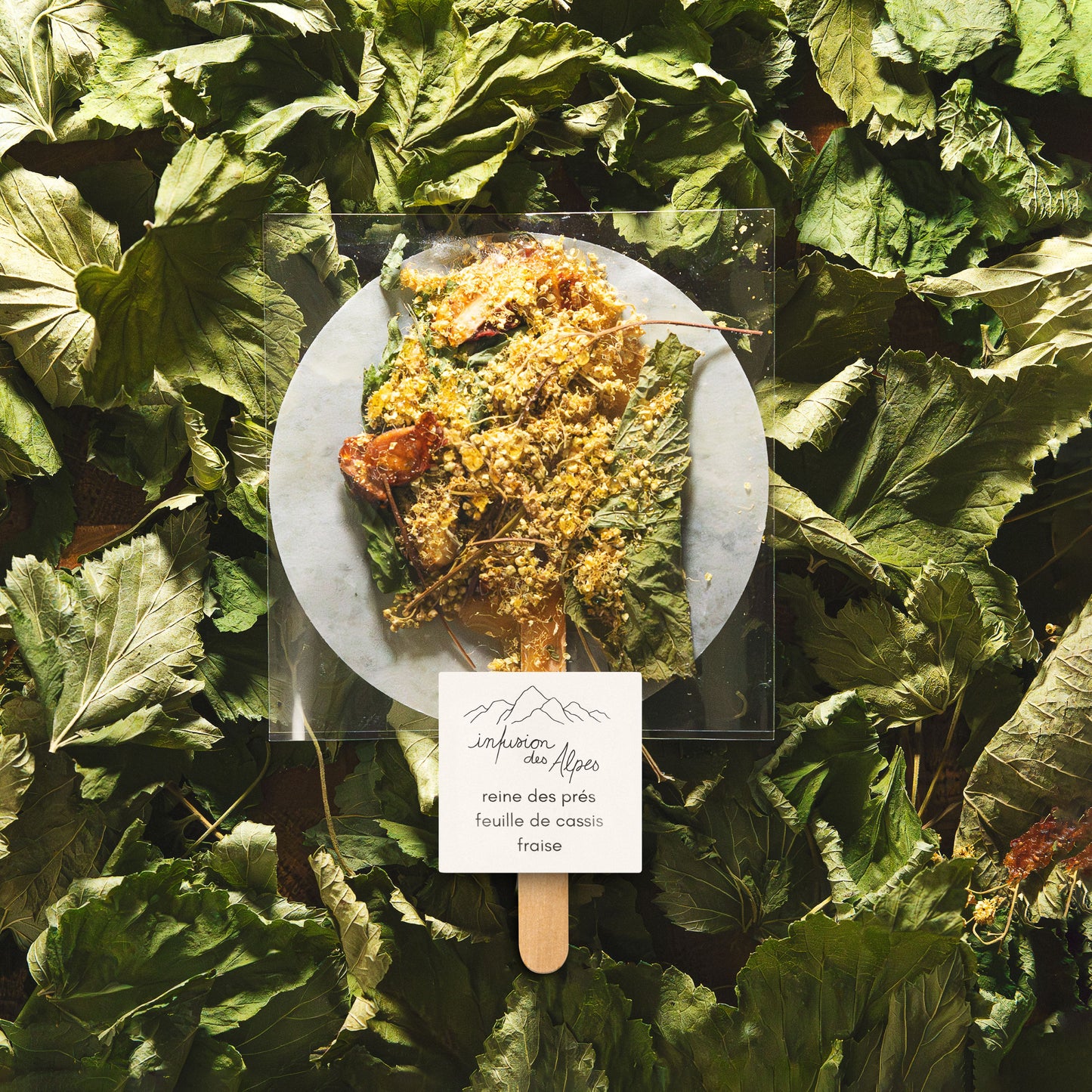 Reine des prés, feuille de cassis et fraise