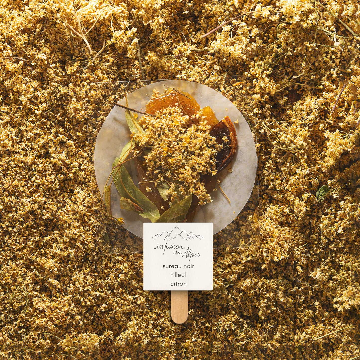 Sureau noir, tilleul et citron